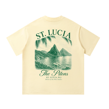 Load image into Gallery viewer, The Pitons Vintage Male Boxy Tee
