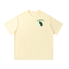 Load image into Gallery viewer, Dominica Emerald Pool Vintage Boxy Tee
