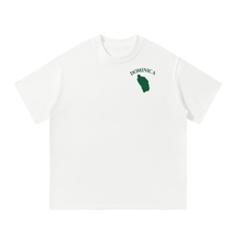 Load image into Gallery viewer, Dominica Emerald Pool Vintage Boxy Tee
