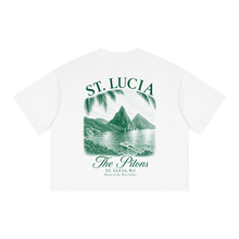 Load image into Gallery viewer, The Pitons Vintage Boxy Crop Tee

