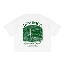 Load image into Gallery viewer, Dominica Emerald Pool Vintage Boxy Crop Tee

