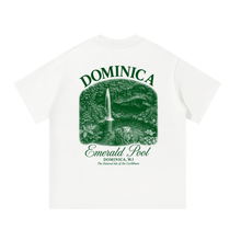 Load image into Gallery viewer, Dominica Emerald Pool Vintage Boxy Tee
