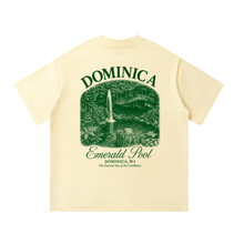 Load image into Gallery viewer, Dominica Emerald Pool Vintage Boxy Tee
